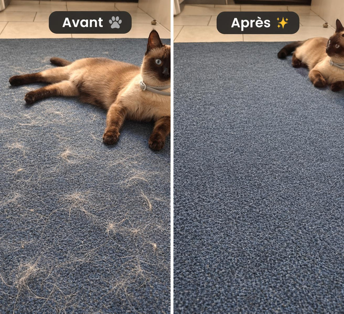 Avant/Après - Rouleau anti-poils sur tapis de voiture